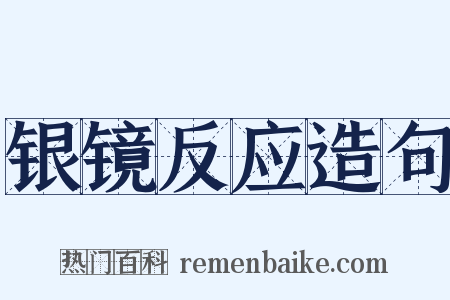 银镜反应造句是什么意思的图片